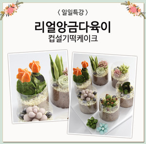 [일일특강]리얼앙금다육이 컵설기떡케이크- 협회본원(3시간)